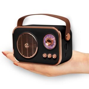 Retro Portable Bluetooth Speaker Mini Radio Style Wireless Speaker with Handle for Home Travel and Outdoor Use