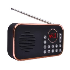 Pocket FM Radio, 5 Watts with Bluetooth/USB/TF, Type C Charging, Earphone, Rechargeable, Model: WALKIE (Black)