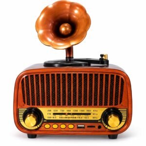 KT Presents 5+5 Years Warranty Retro Radio Speaker with AM FM SW 3-Band Radio, Wireless Music, USB & TF Card, AUX Input, Vintage Style Audio Player for Home Office Travel